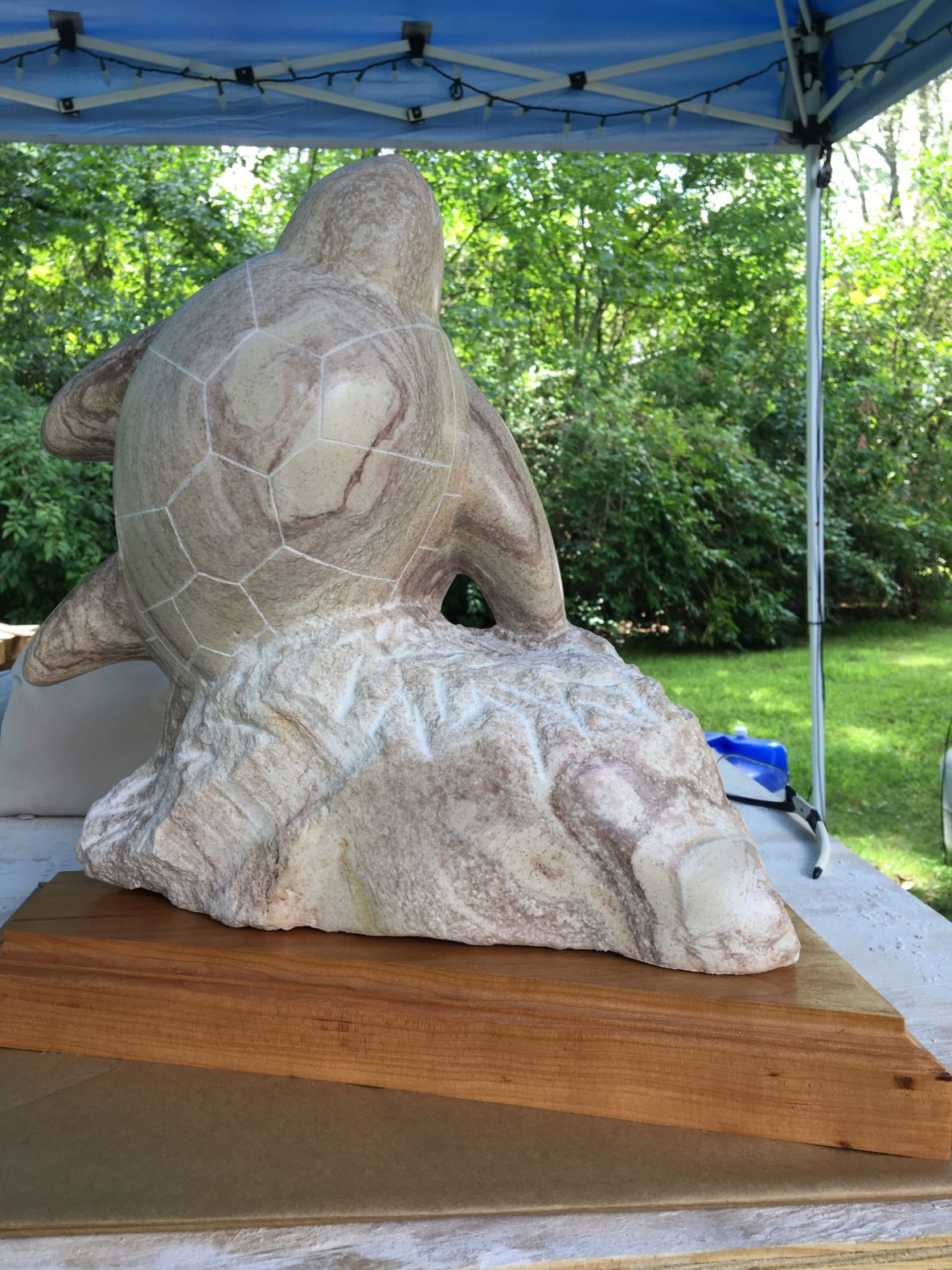 "Sea Turtle"-Colorado Alabaster